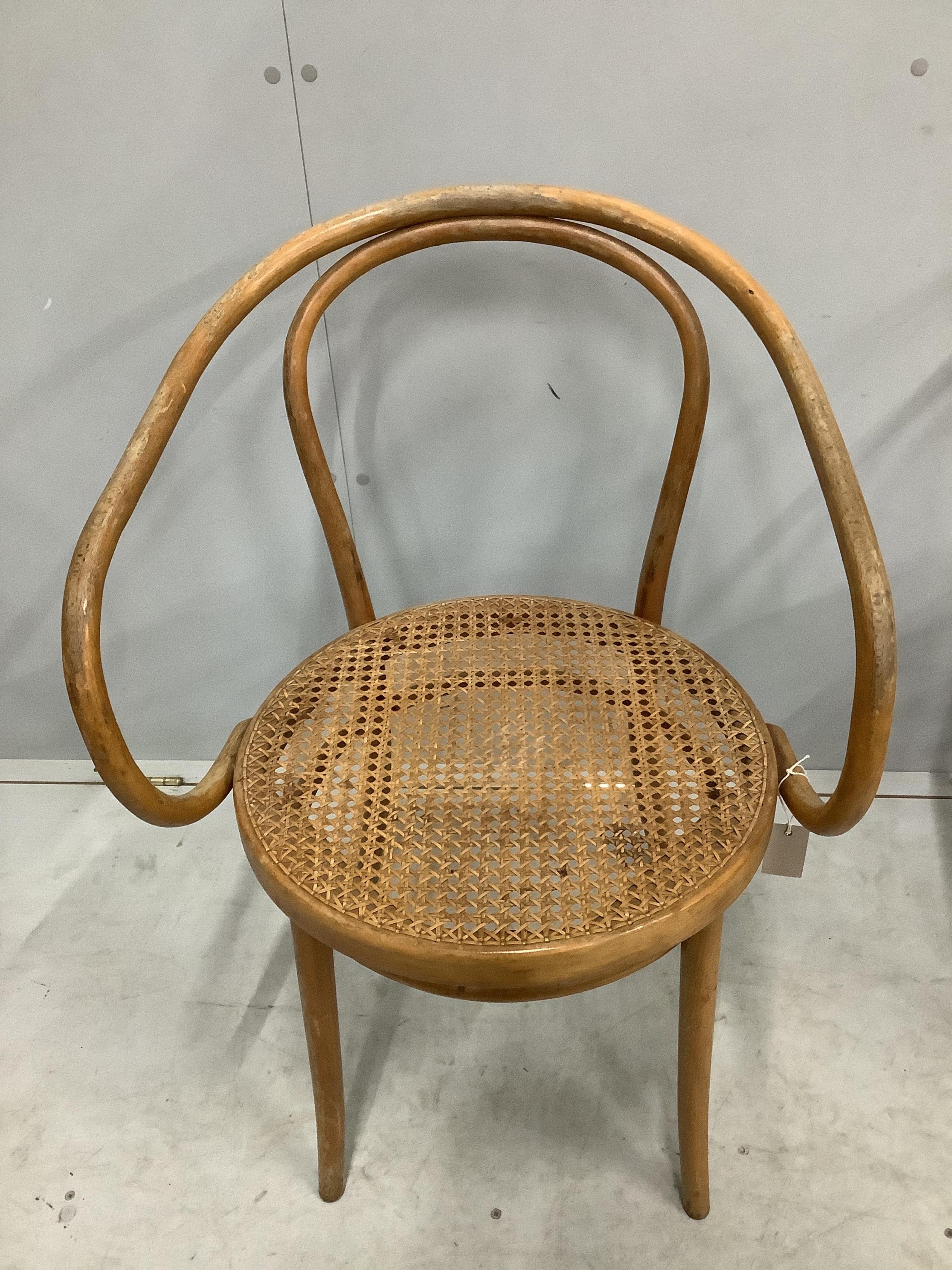 A set of four Thonet bentwood cane seat chairs, model no. 209, width 58cm, depth 48cm, height 84cm. Condition - fair